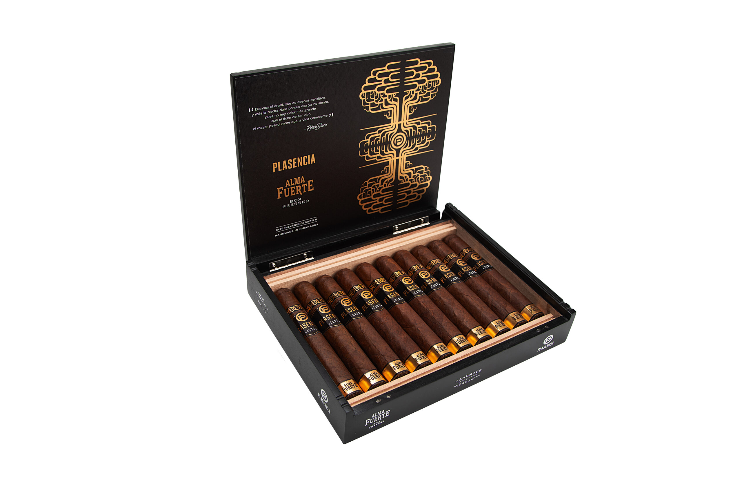 Plasencia Alma Fuerte Sixto II Hexagono 6 x 60