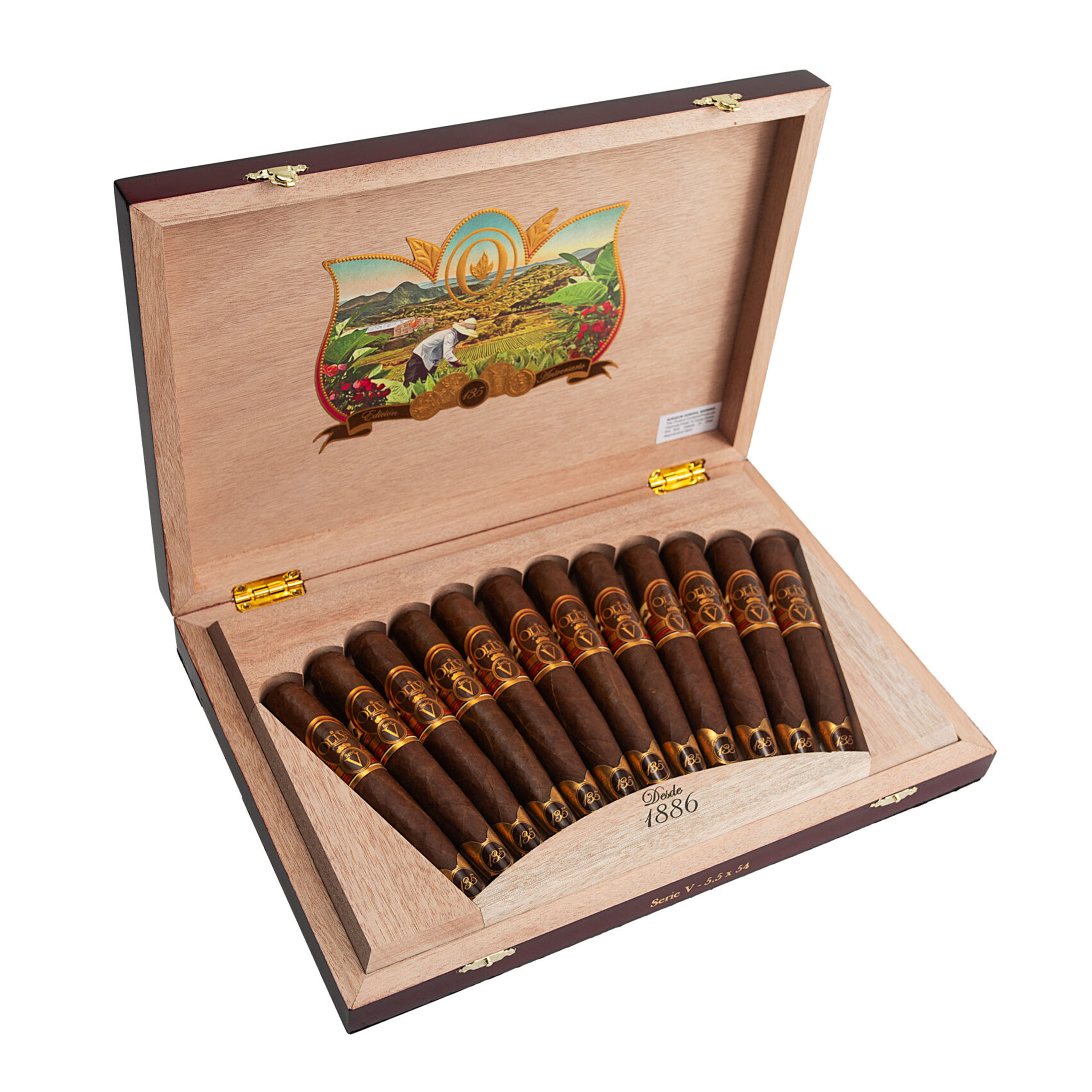 Oliva 135 Anniversario 5.5 x 54